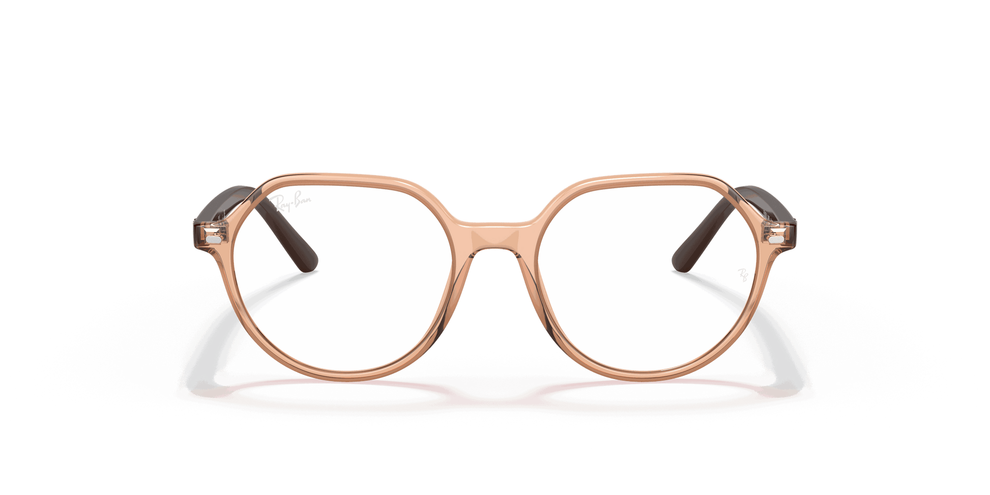 [Clear Lenses, Polished Transparent Brown Frame]