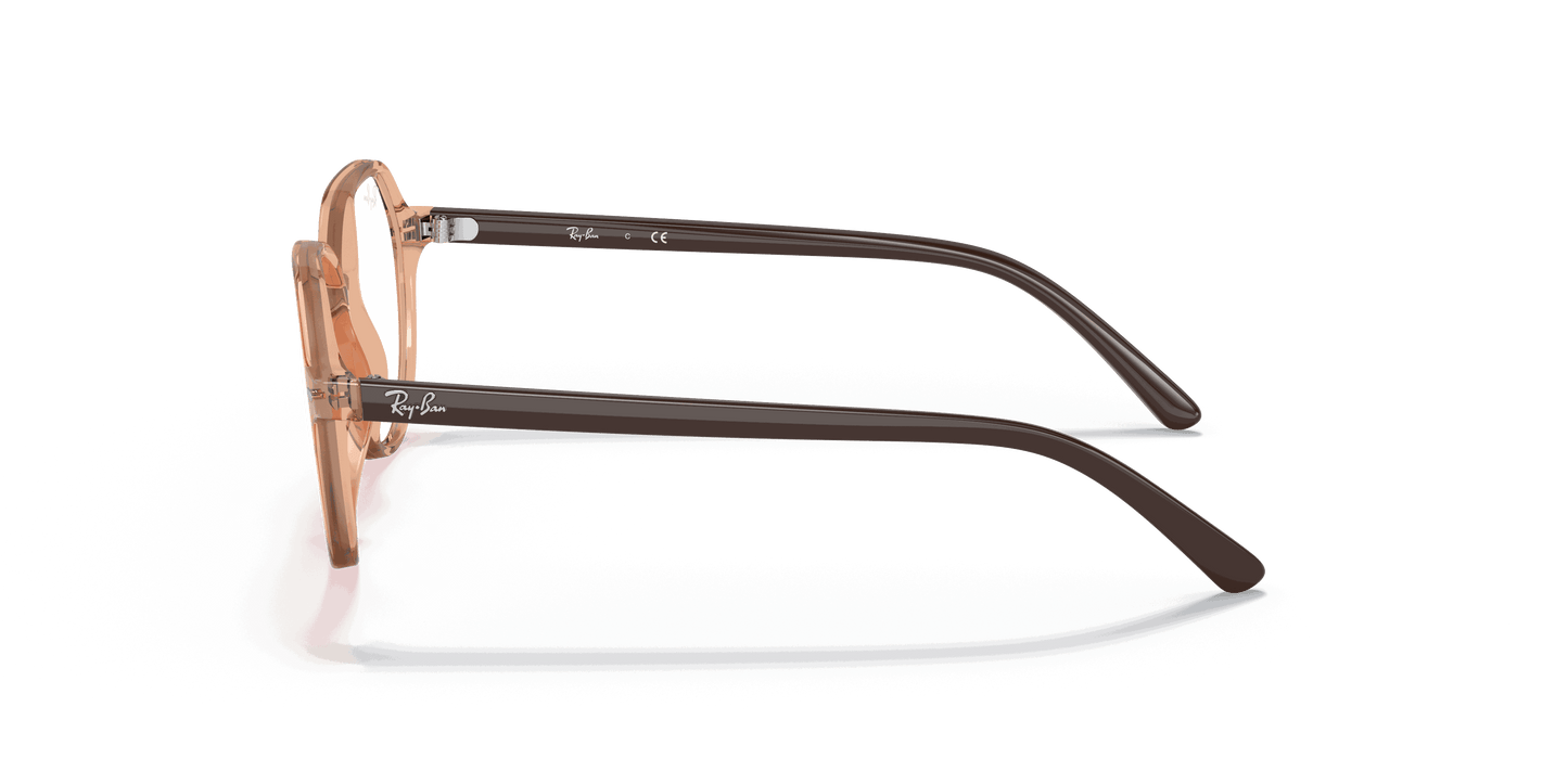 [Clear Lenses, Polished Transparent Brown Frame]