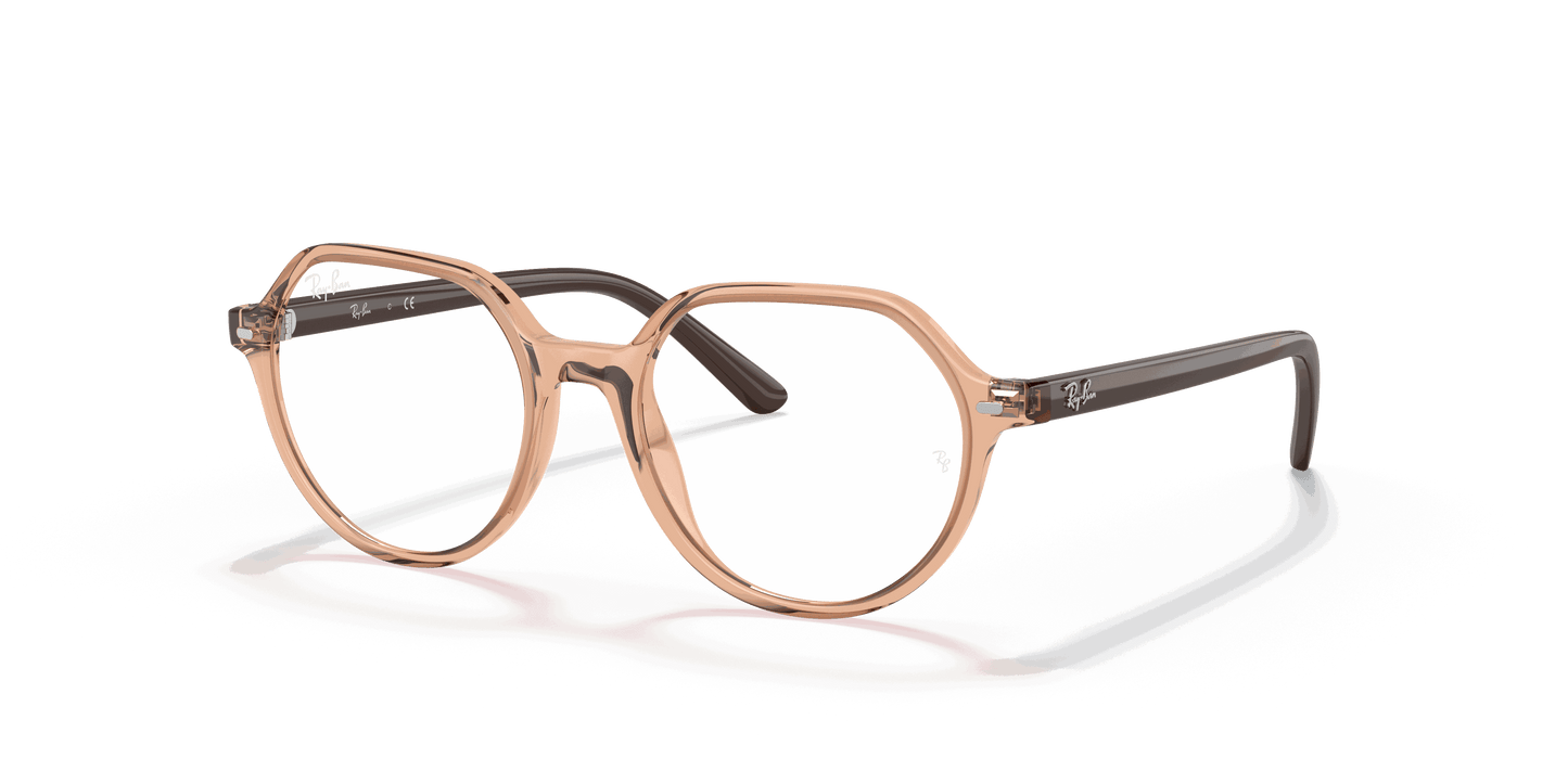 [Clear Lenses, Polished Transparent Brown Frame]
