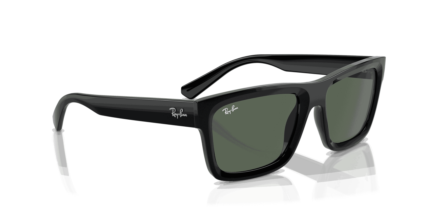 [Dark Green Lenses, Polished Black Frame]