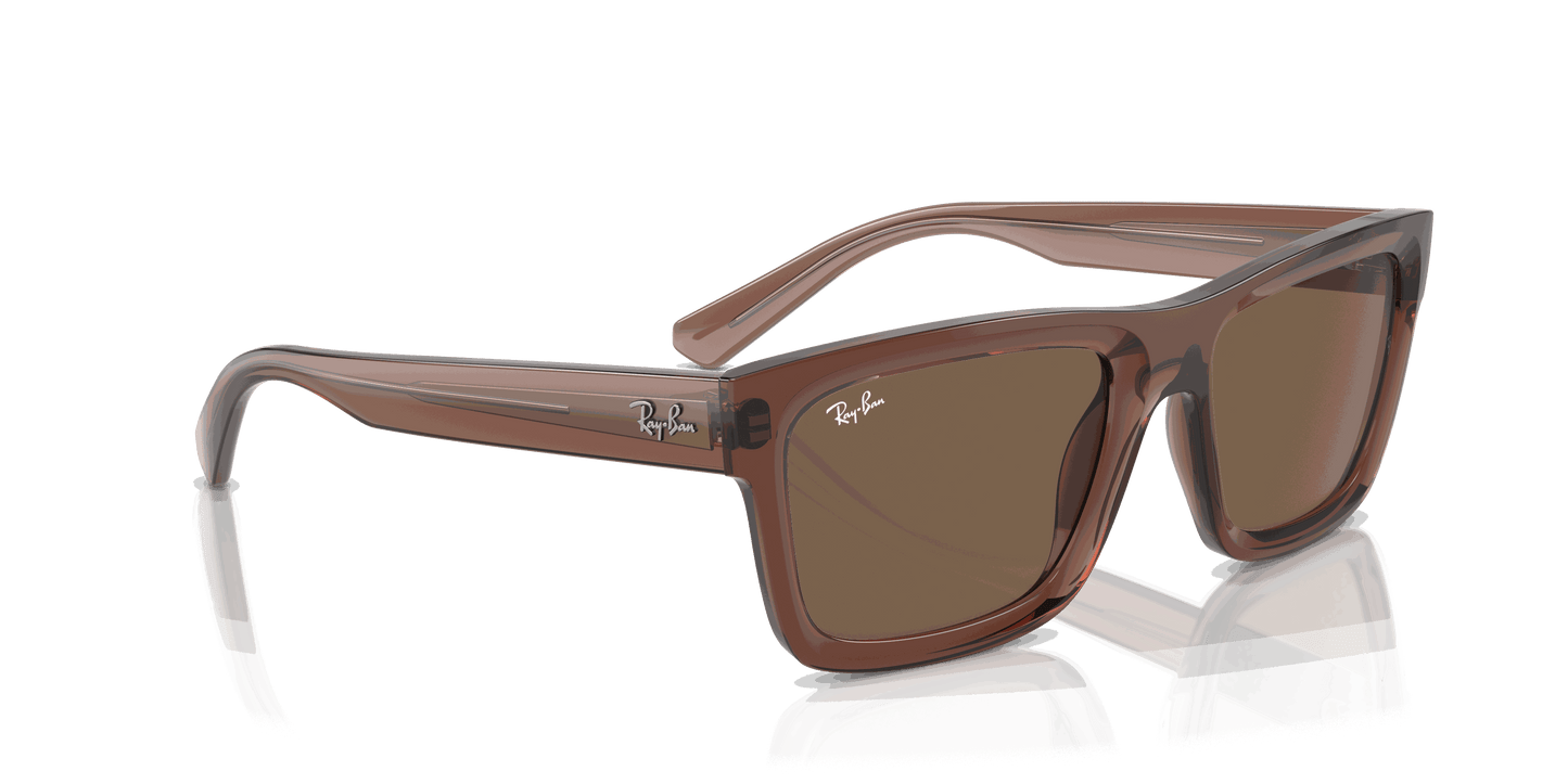 [Dark Brown Lenses, Polished Transparent Brown Frame]