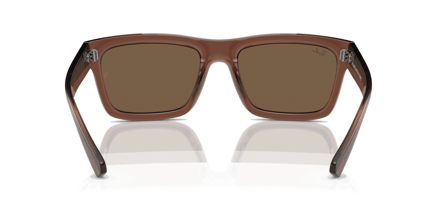 [Dark Brown Lenses, Polished Transparent Brown Frame]
