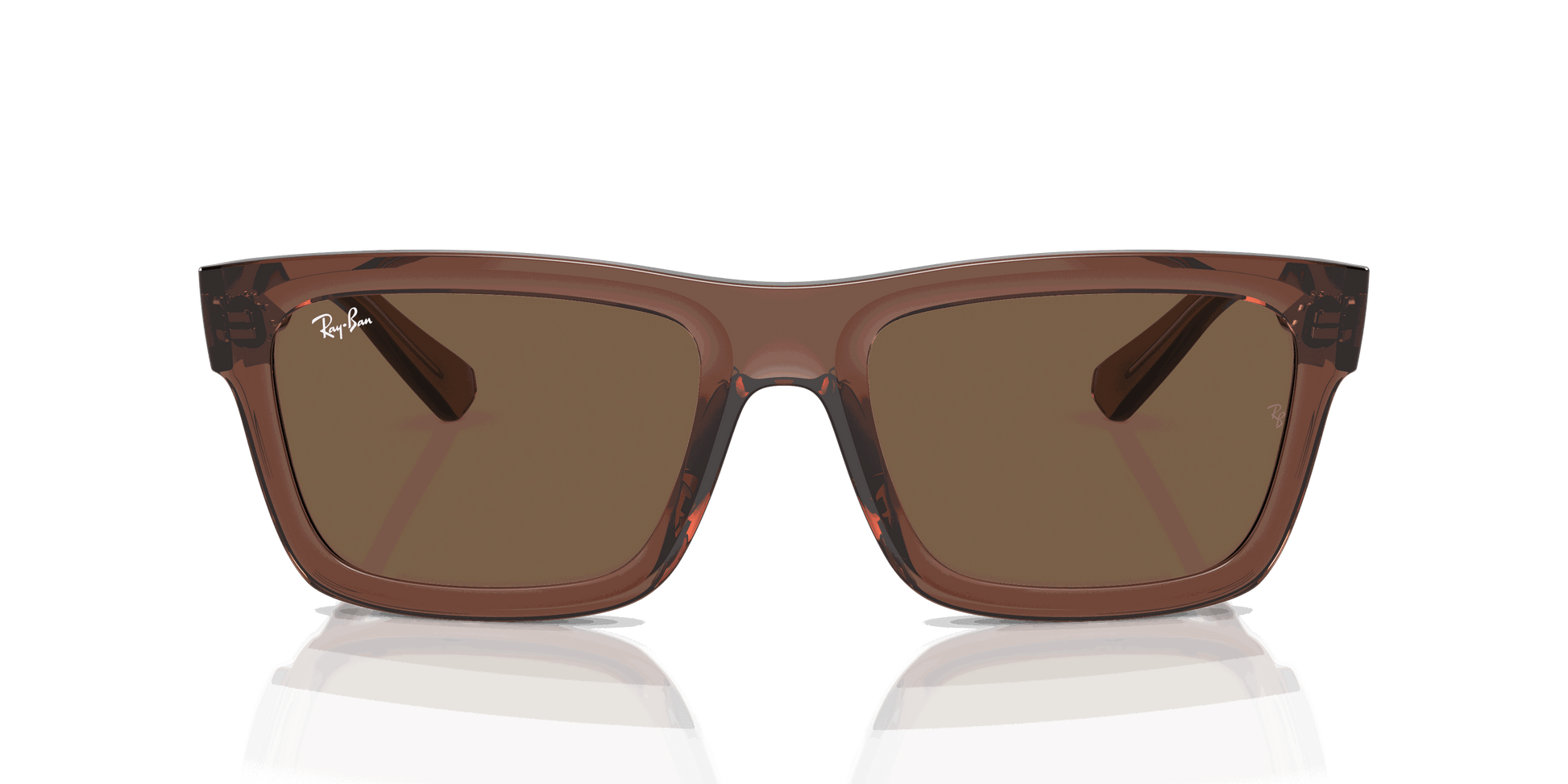 [Dark Brown Lenses, Polished Transparent Brown Frame]