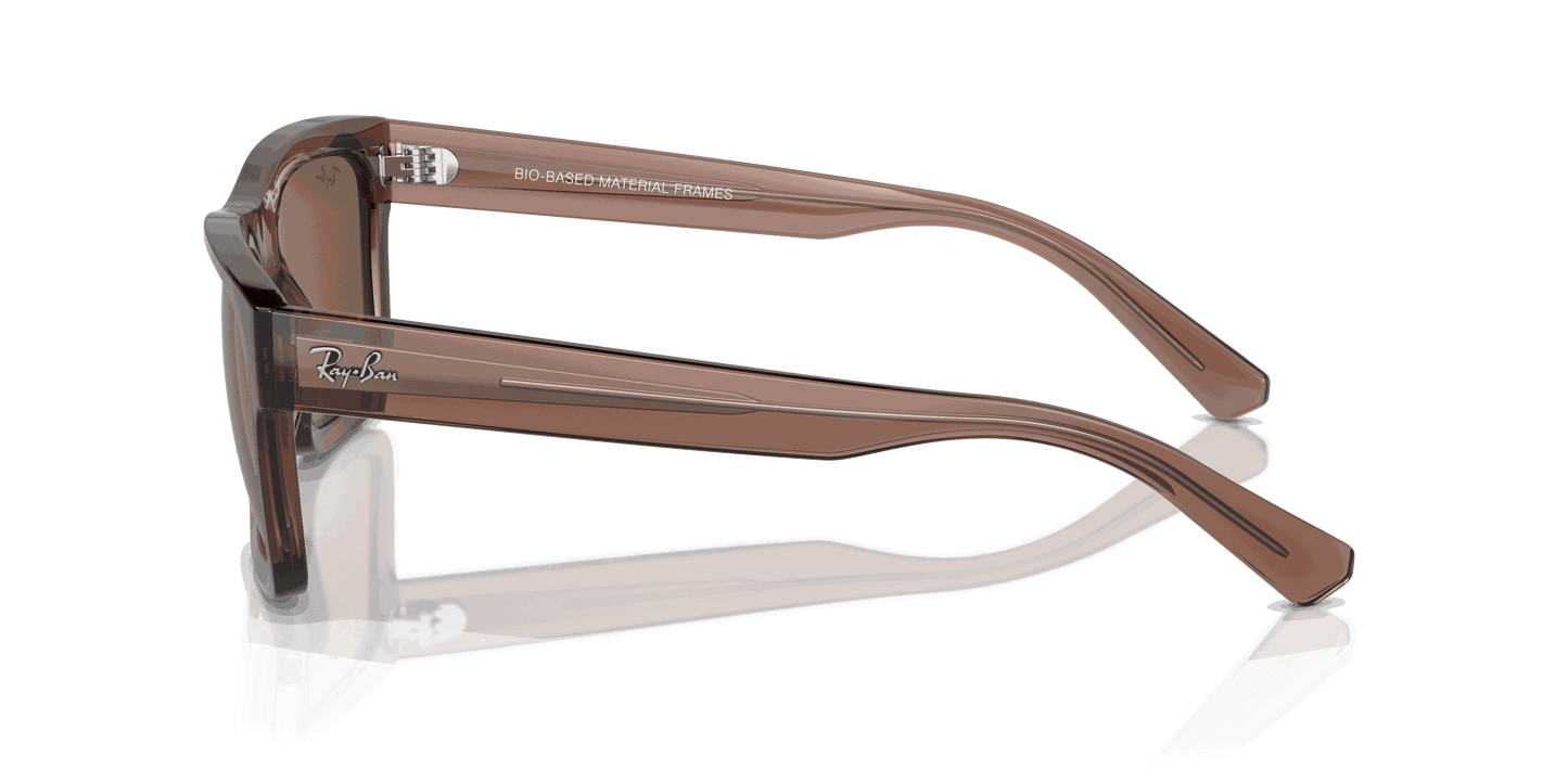 [Dark Brown Lenses, Polished Transparent Brown Frame]