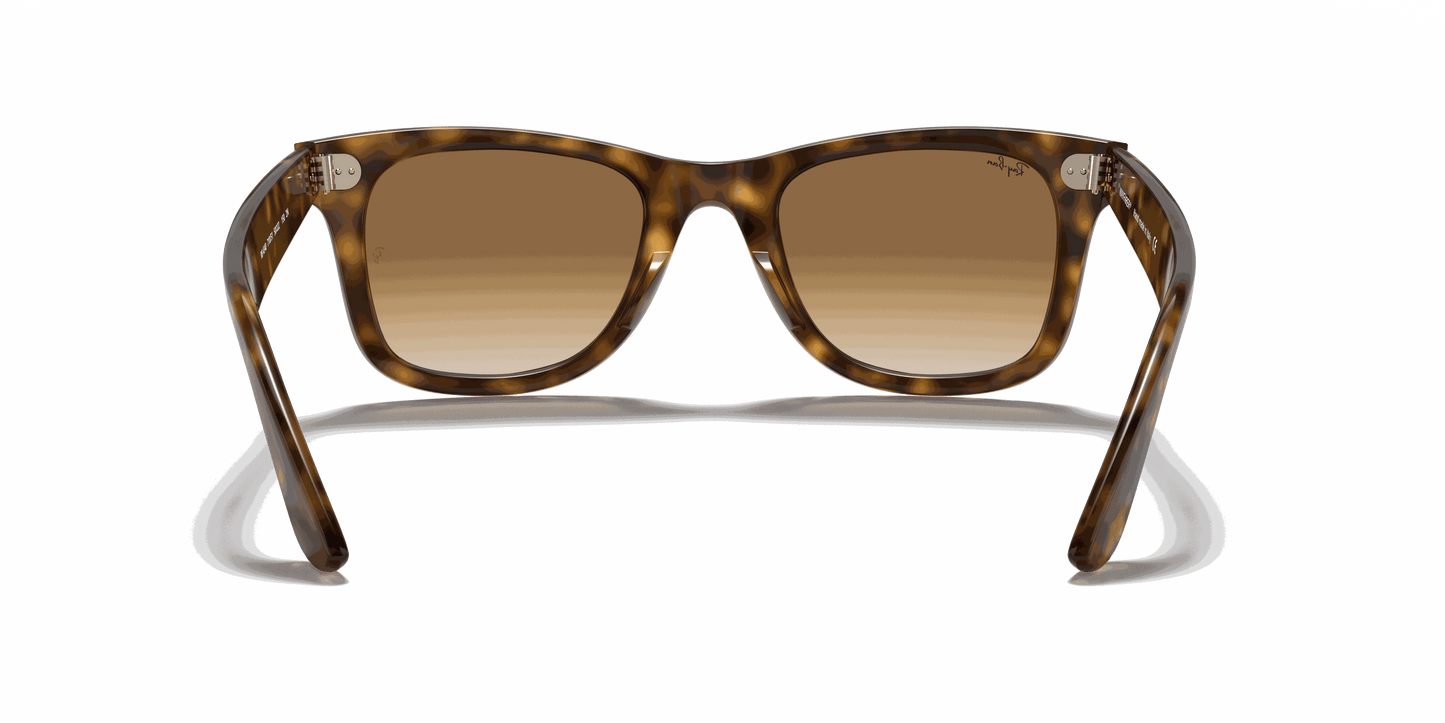 [Light Brown Gradient Lenses, Polished Light Havana Frame]