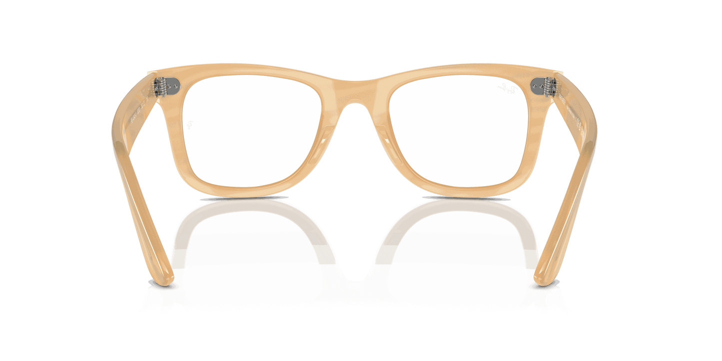 [Clear Lenses, Polished Photo Striped Brown Frame]