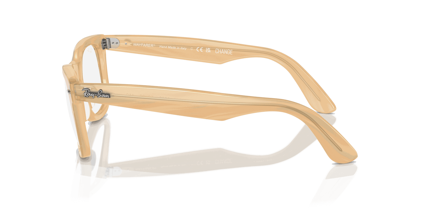 [Clear Lenses, Polished Photo Striped Brown Frame]