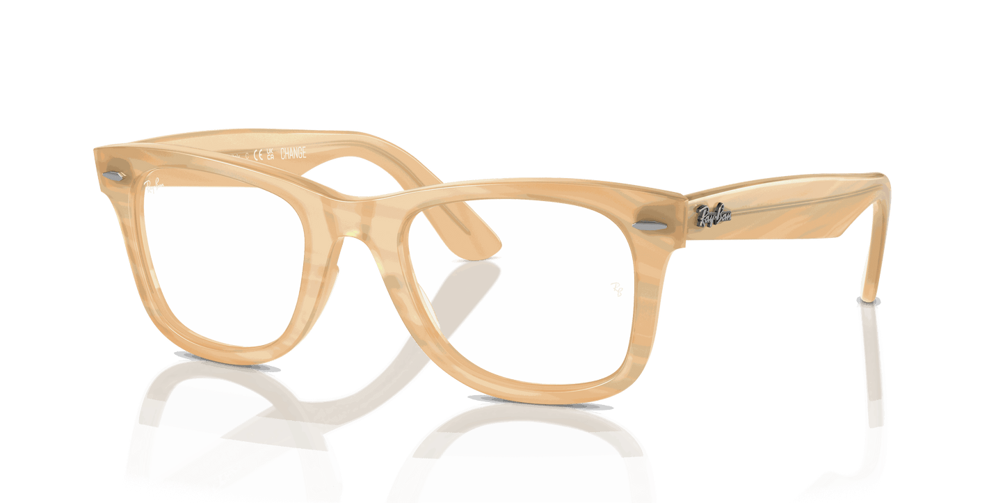 [Clear Lenses, Polished Photo Striped Brown Frame]