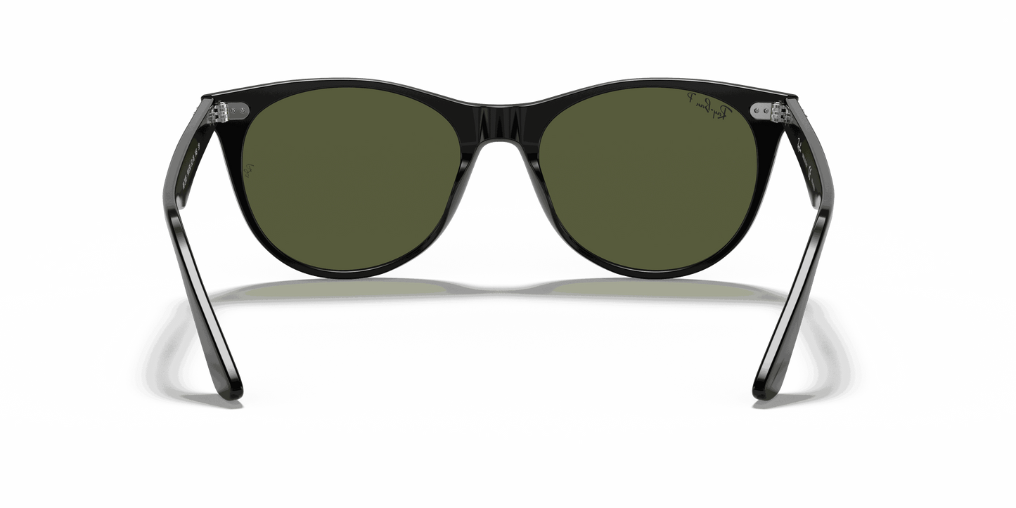 [G-15 Green Lenses, Polished Black Frame]