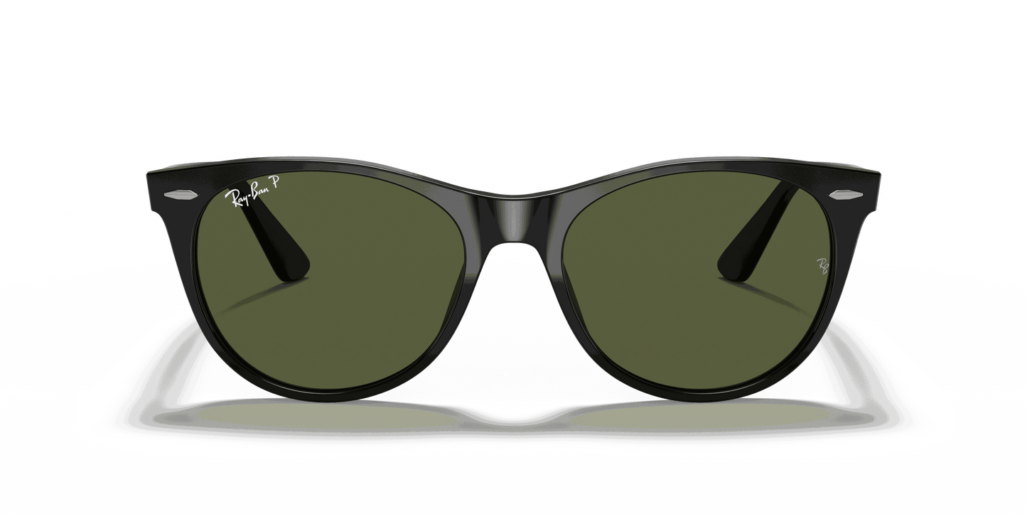 [G-15 Green Lenses, Polished Black Frame]