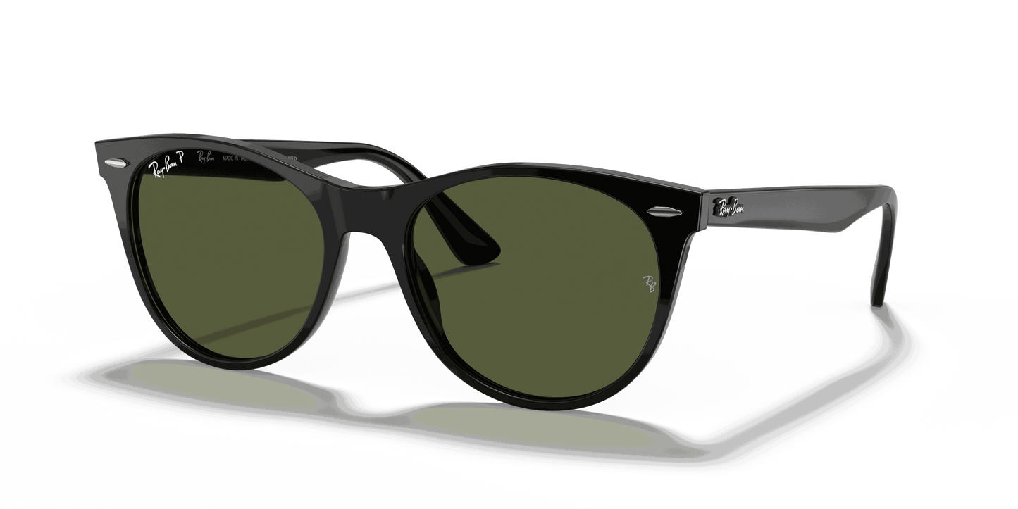 [G-15 Green Lenses, Polished Black Frame]