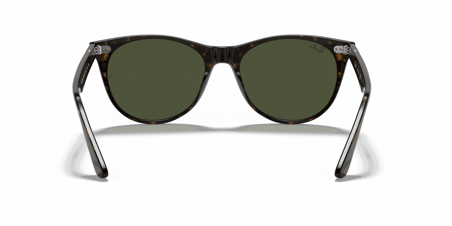 [G-15 Green Lenses, Polished Tortoise Frame]