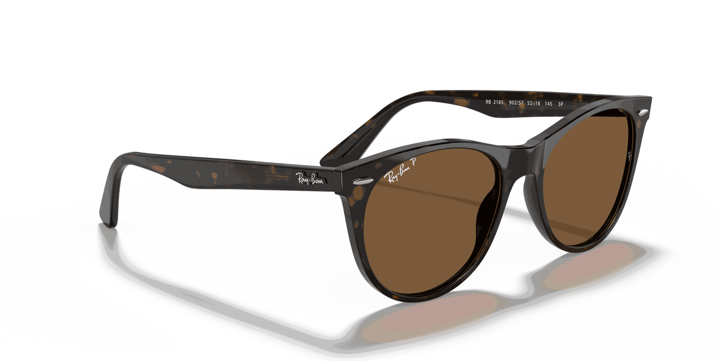 [B-15 Brown Lenses, Polished Spotted Havana Frame]