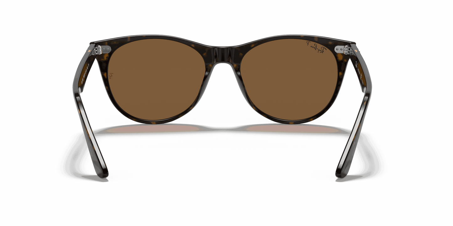 [B-15 Brown Lenses, Polished Spotted Havana Frame]