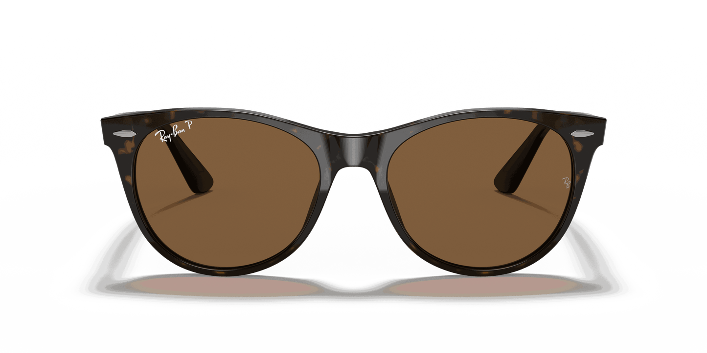 [B-15 Brown Lenses, Polished Spotted Havana Frame]