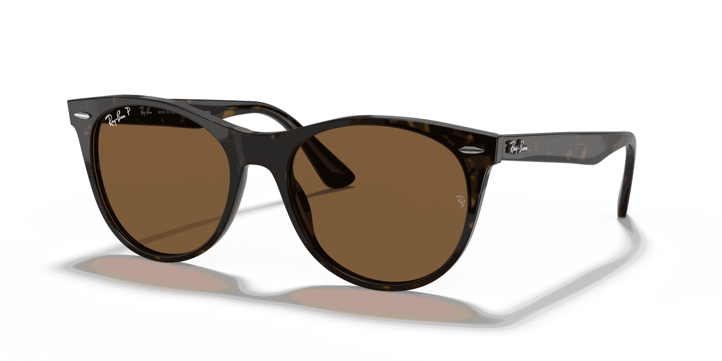 [B-15 Brown Lenses, Polished Spotted Havana Frame]
