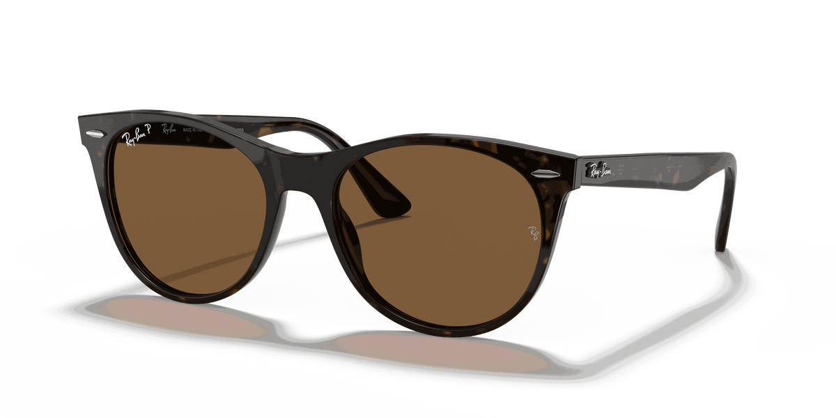 [B-15 Brown Lenses, Polished Spotted Havana Frame]