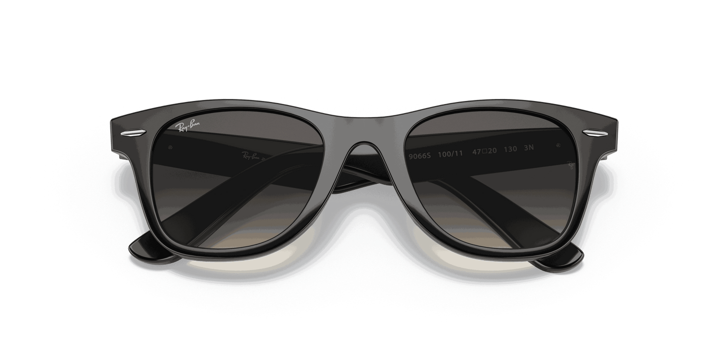 [Light Grey/Dark Grey Lenses, Polished Black Frame]