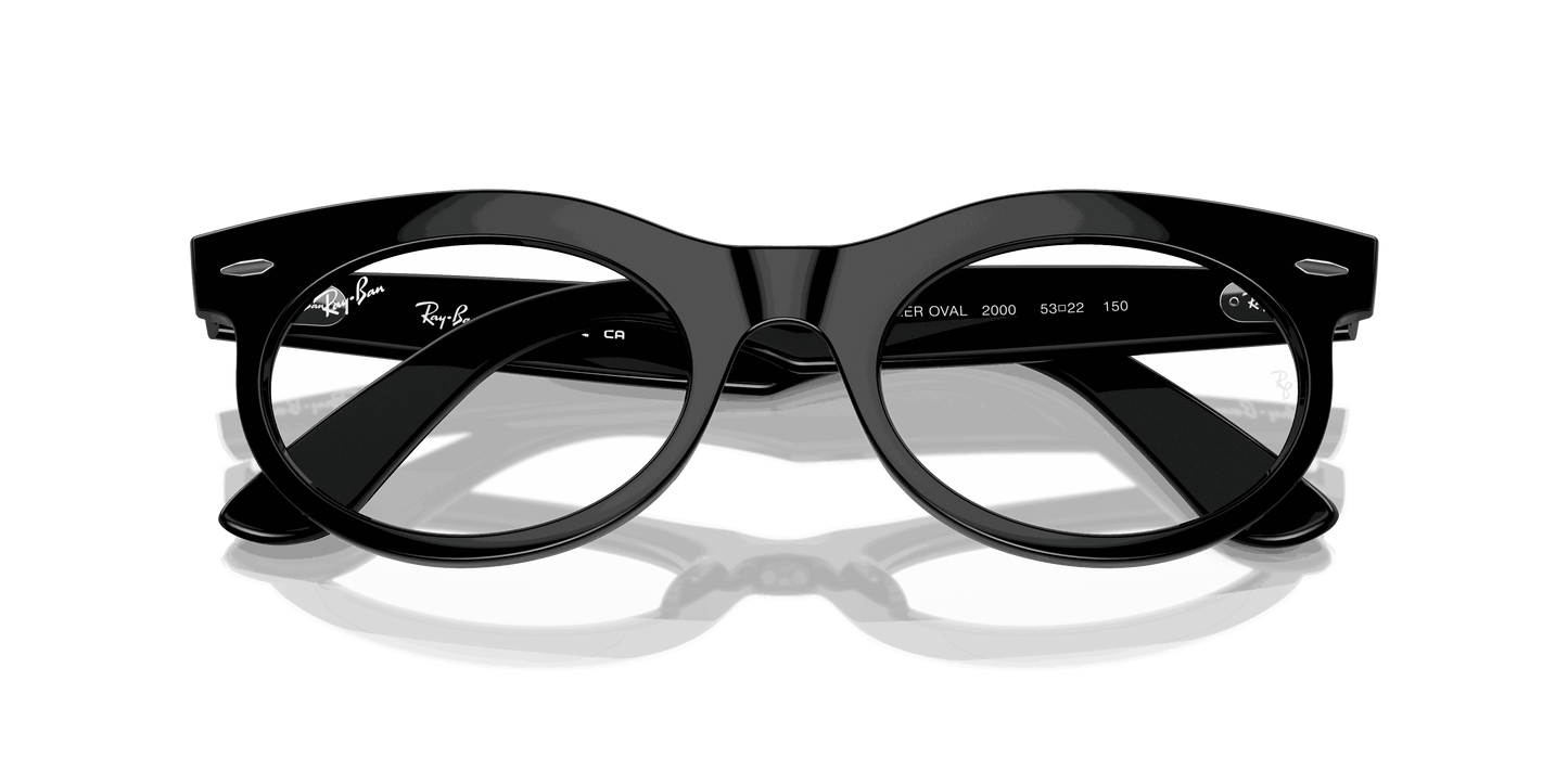 [Clear Lenses, Polished Black Frame]