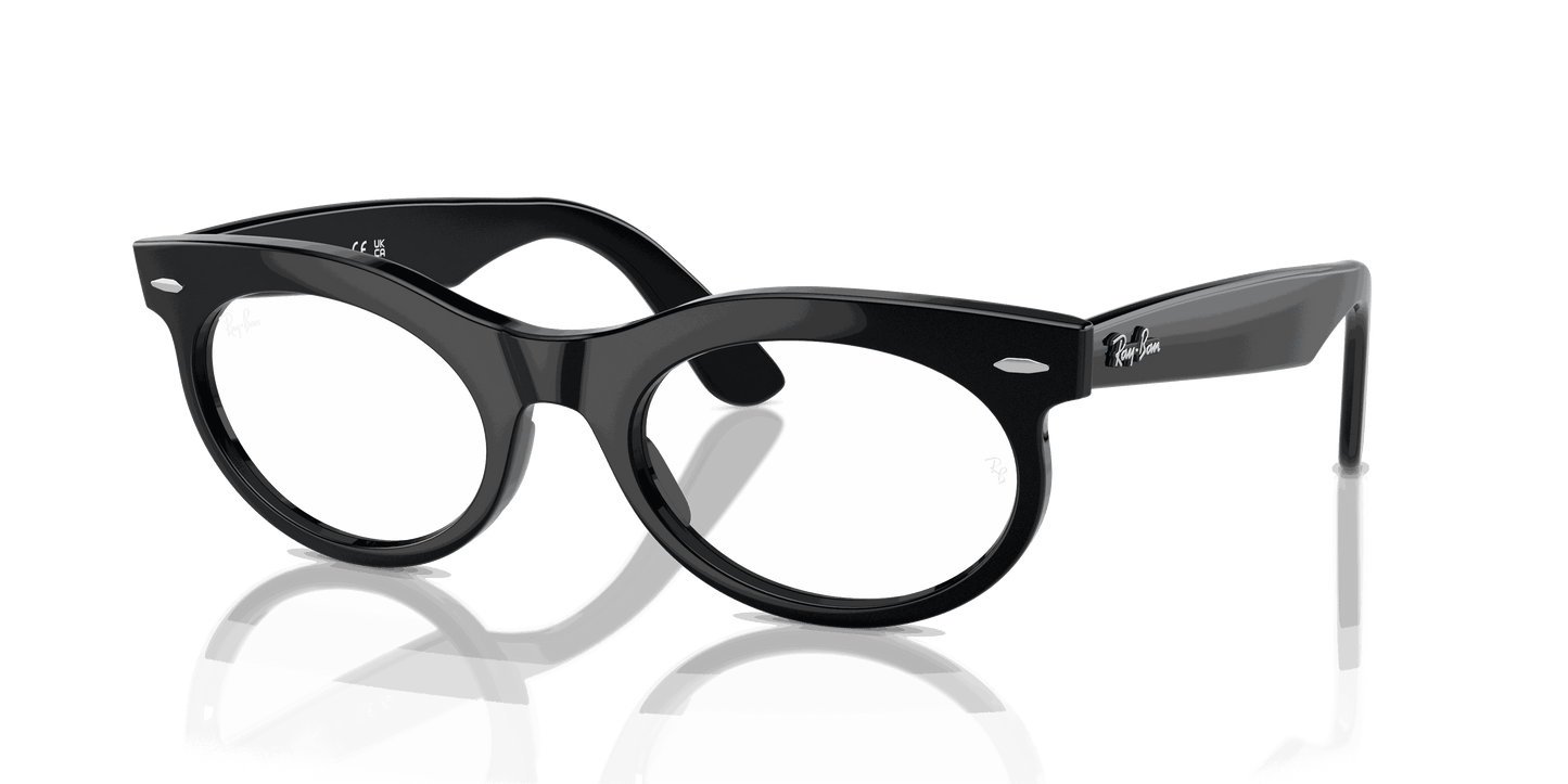 [Clear Lenses, Polished Black Frame]