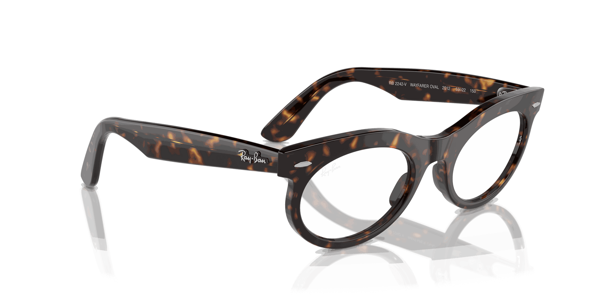 [Clear Lenses, Polished Havana Frame]