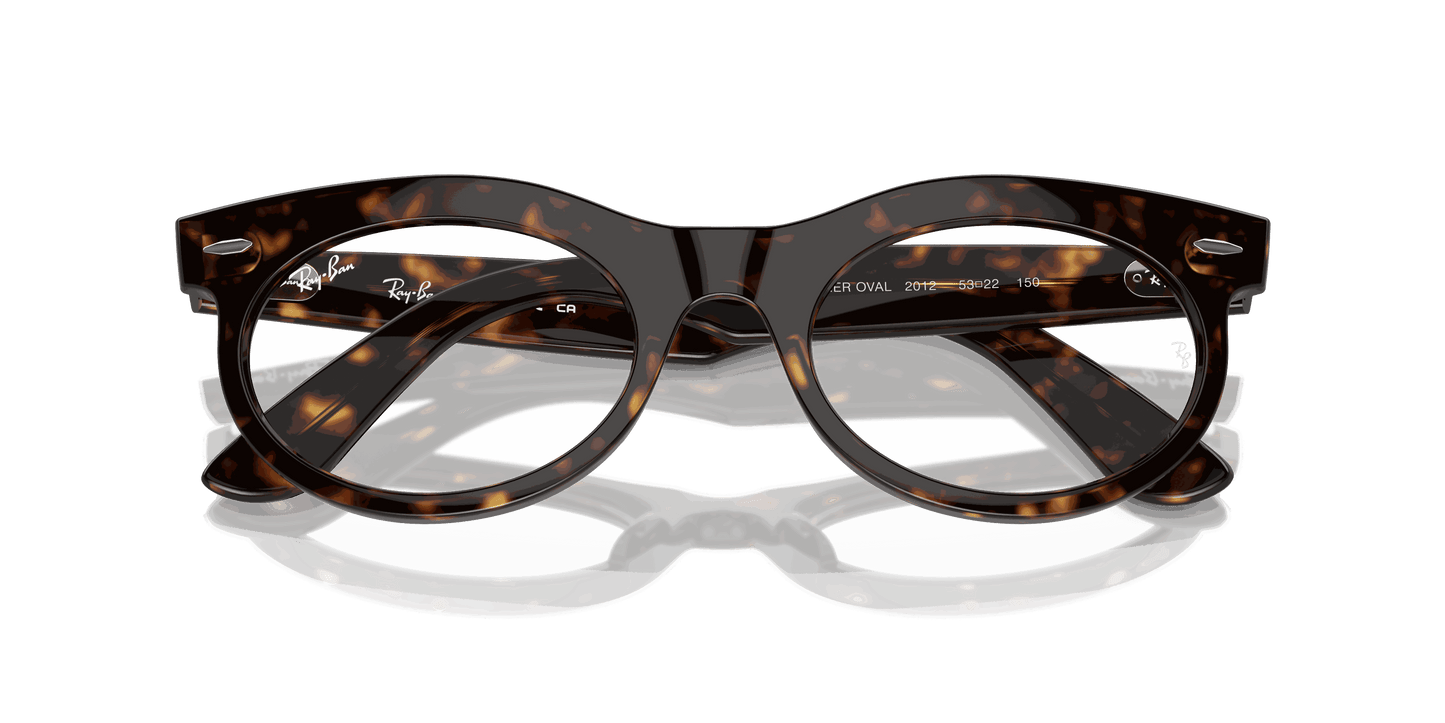 [Clear Lenses, Polished Havana Frame]