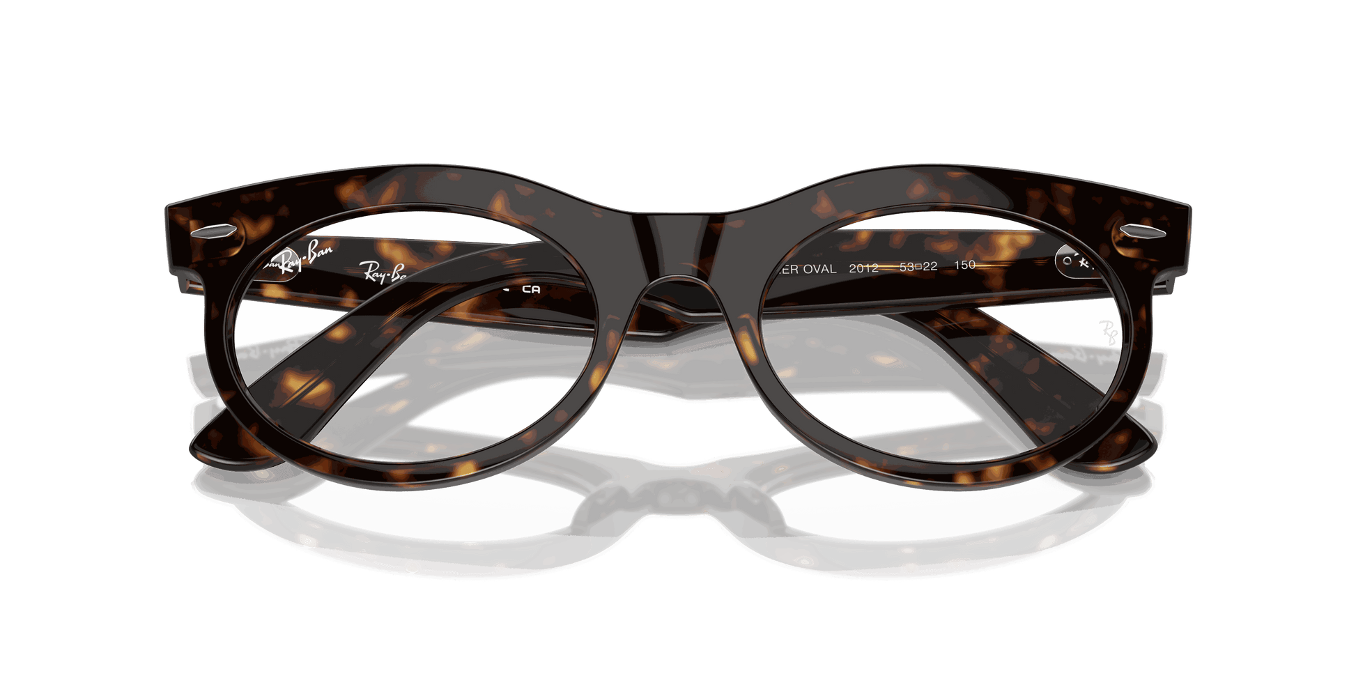 [Clear Lenses, Polished Havana Frame]