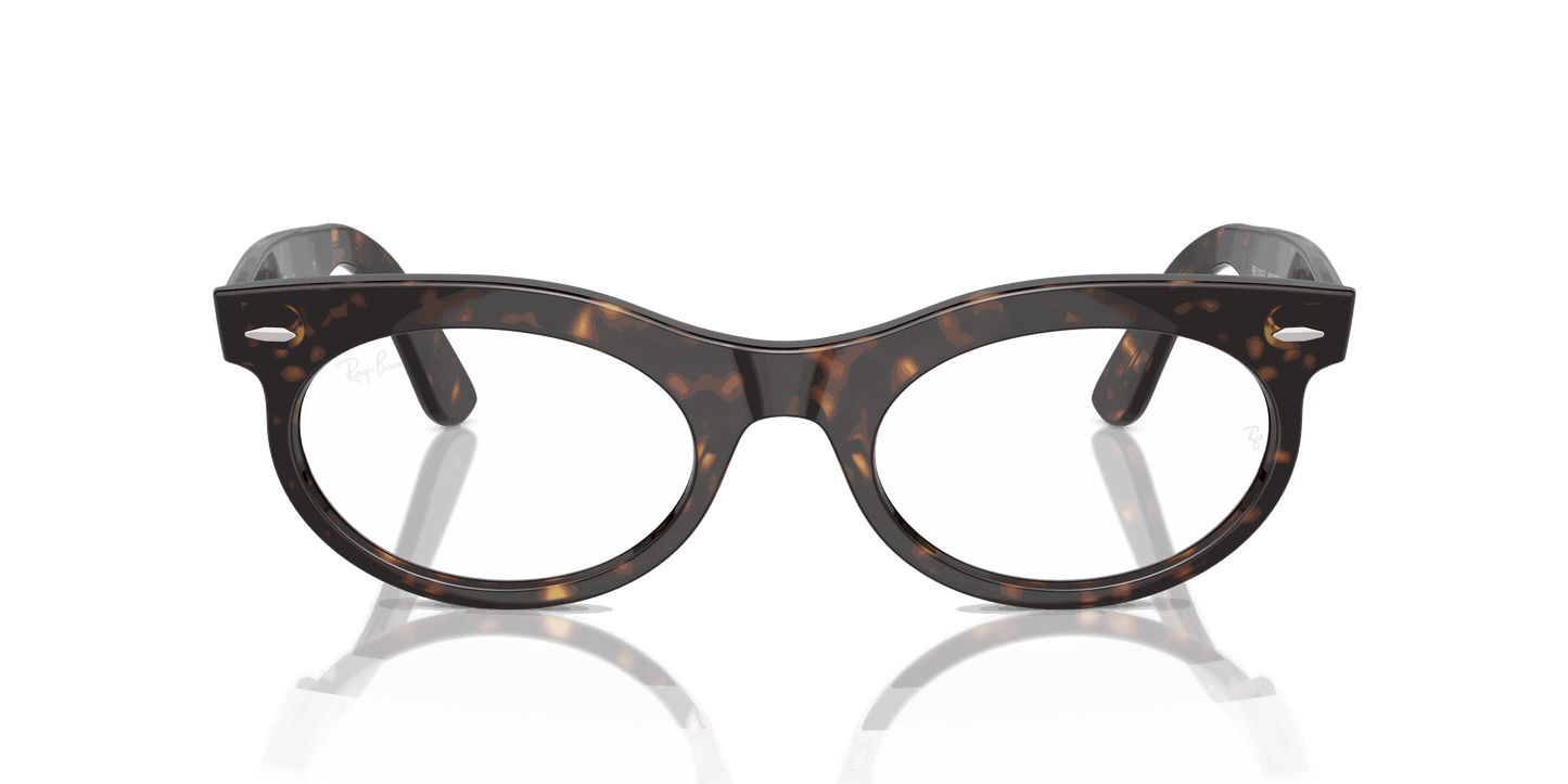 [Clear Lenses, Polished Havana Frame]