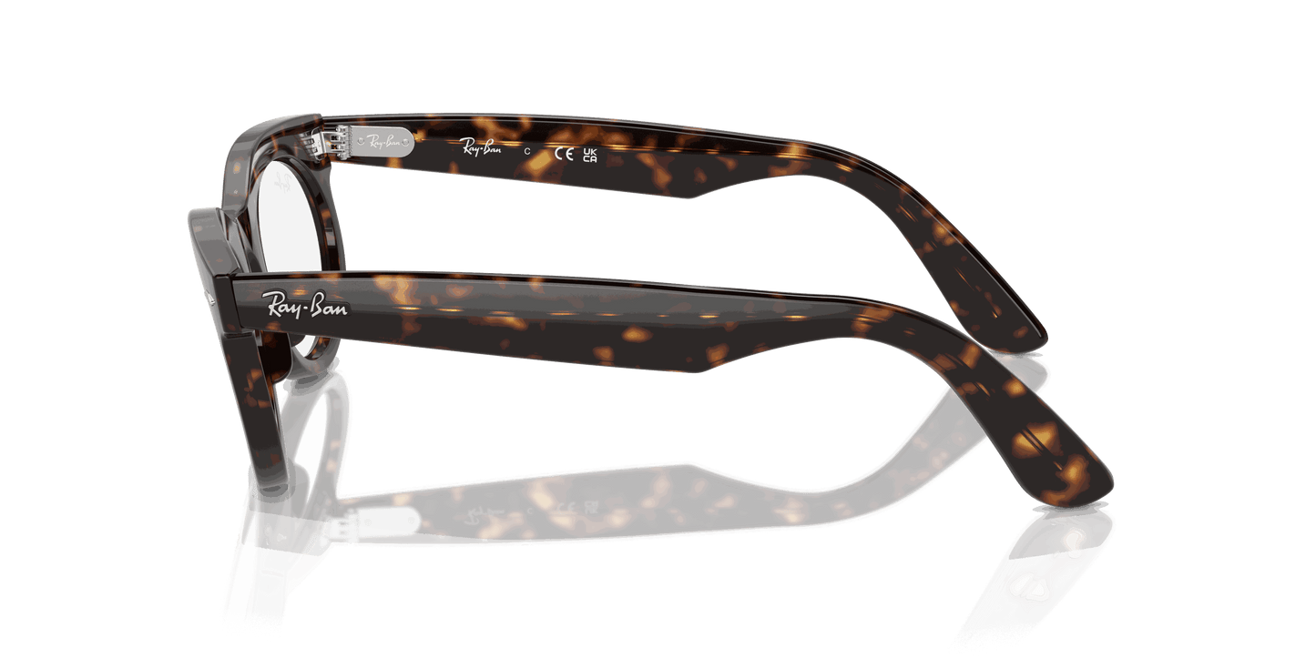 [Clear Lenses, Polished Havana Frame]