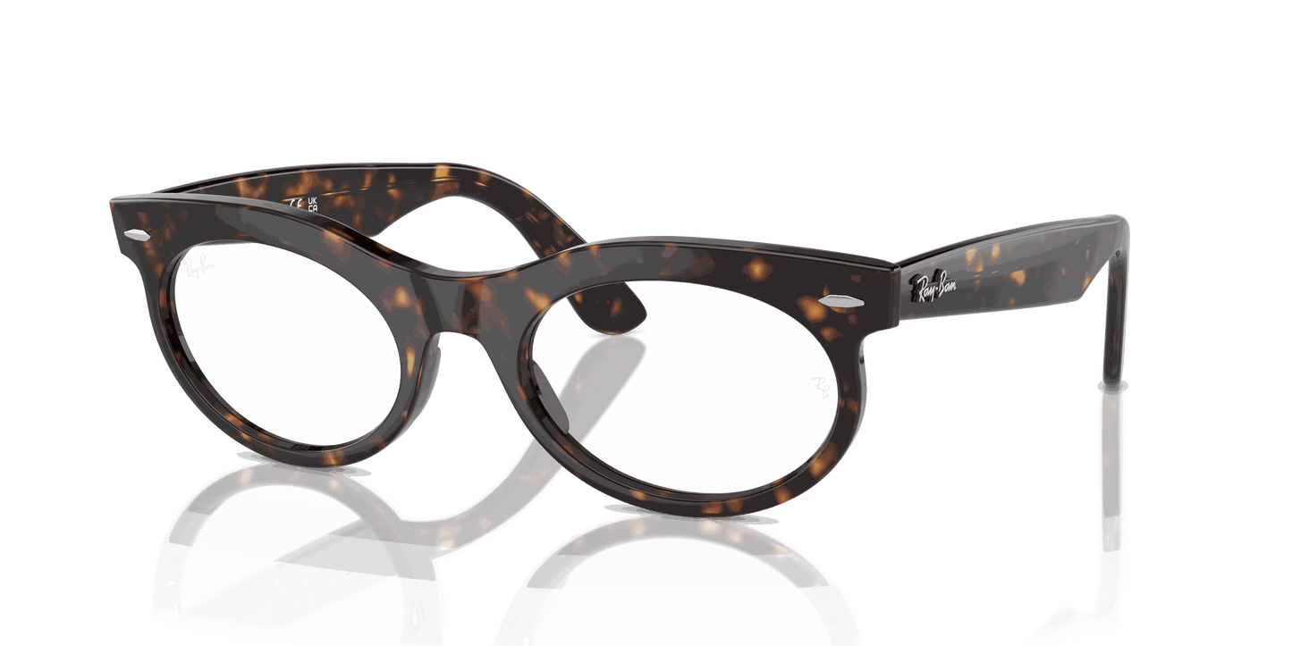 [Clear Lenses, Polished Havana Frame]