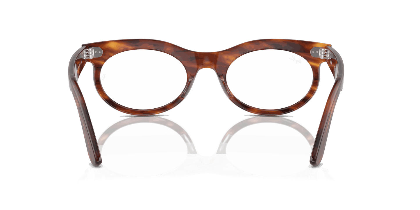 [Clear Lenses, Polished Striped Havana Frame]
