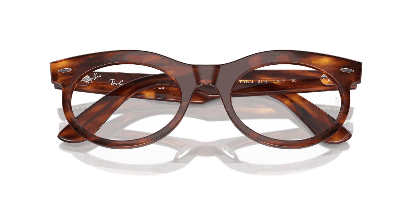[Clear Lenses, Polished Striped Havana Frame]