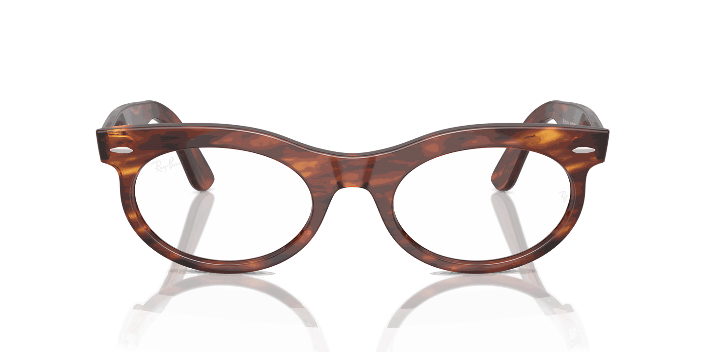 [Clear Lenses, Polished Striped Havana Frame]