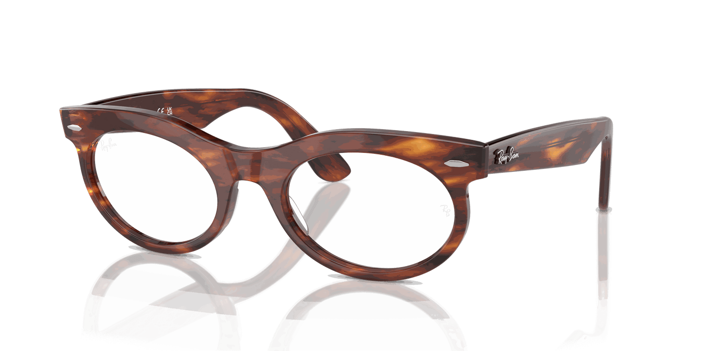[Clear Lenses, Polished Striped Havana Frame]