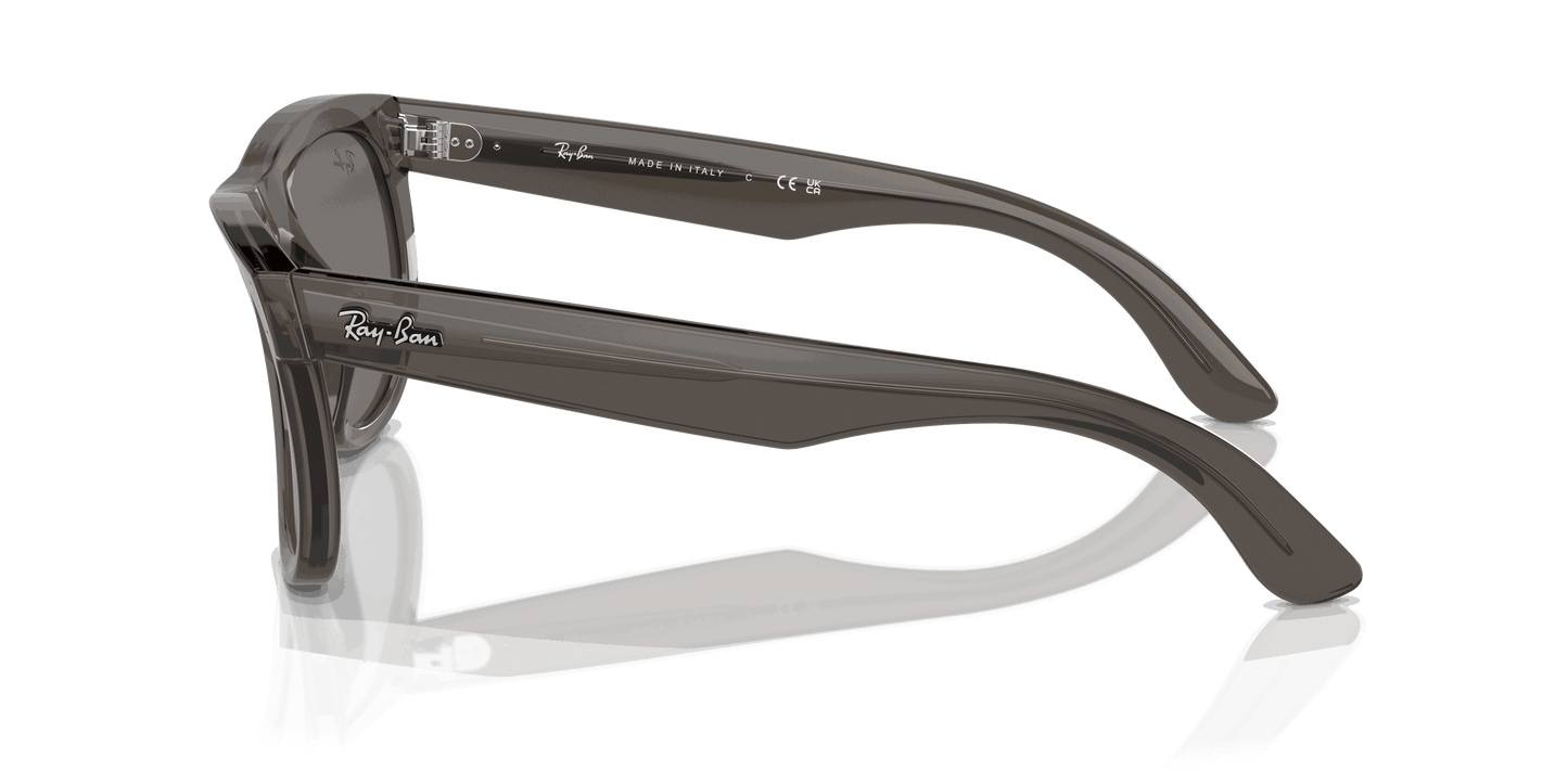 [Dark Grey Lenses, Polished Transparent Dark Grey Frame]