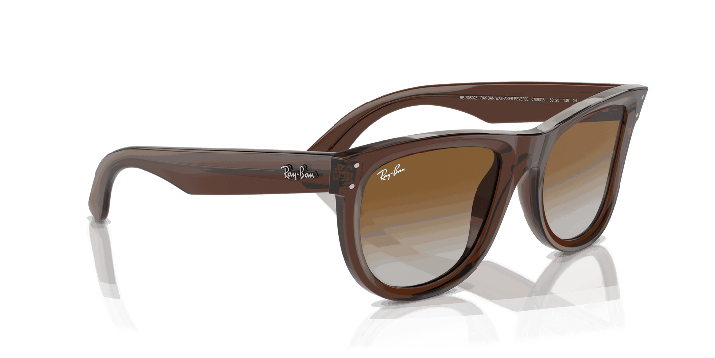 [Brown Lenses, Polished Transparent Brown Frame]