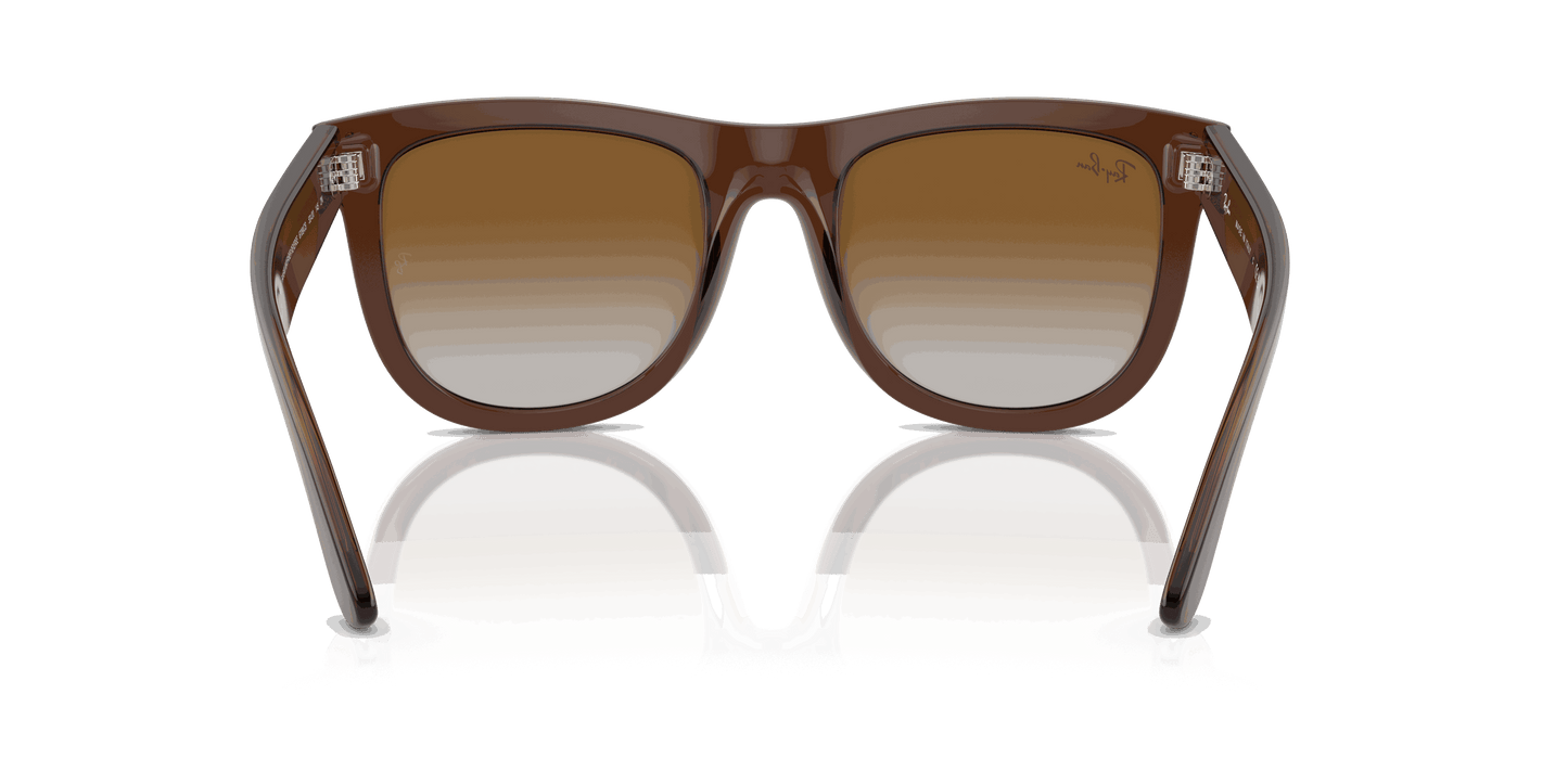 [Brown Lenses, Polished Transparent Brown Frame]