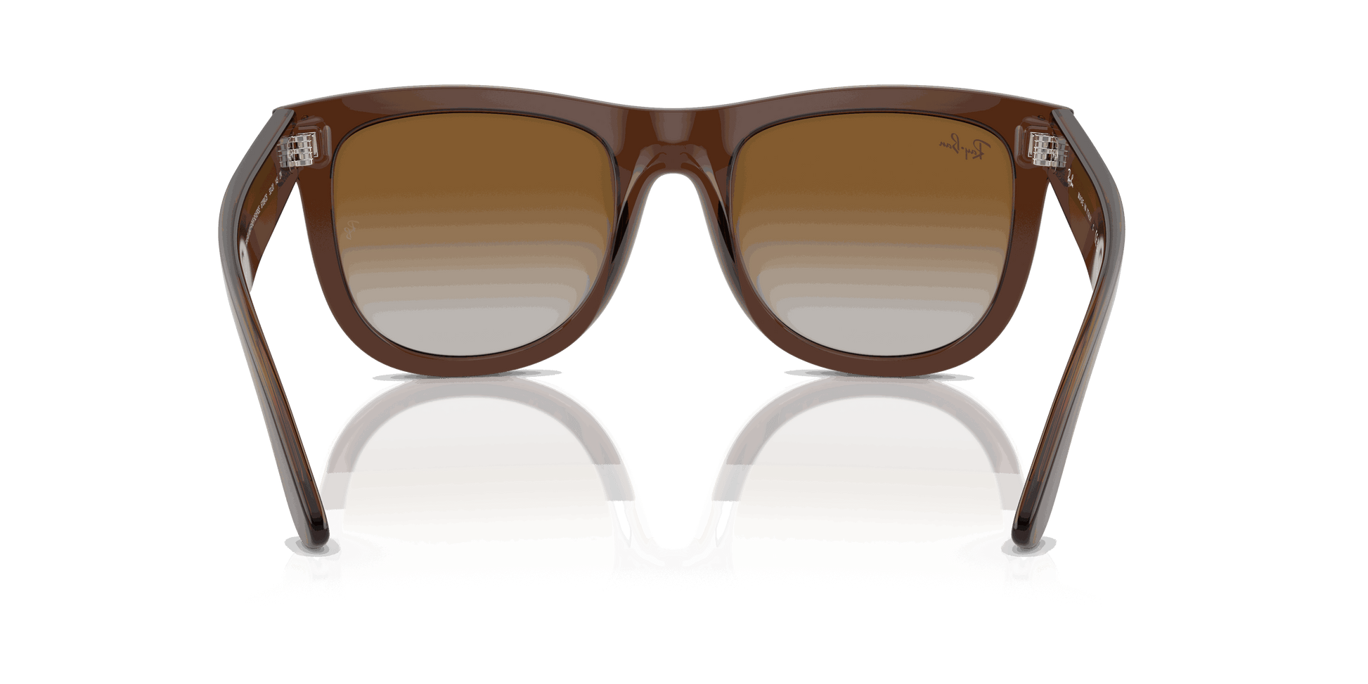 [Brown Lenses, Polished Transparent Brown Frame]