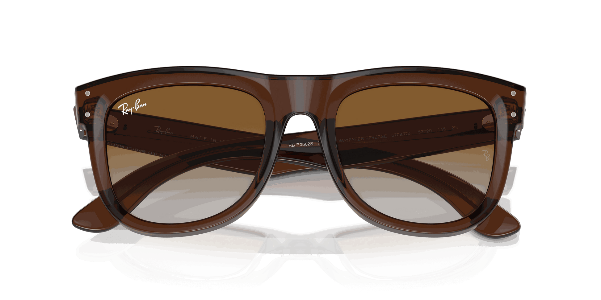 [Brown Lenses, Polished Transparent Brown Frame]