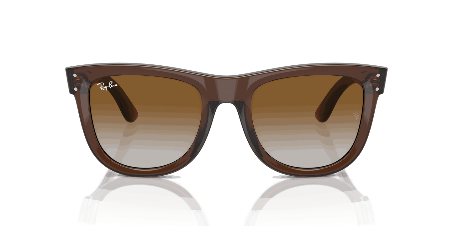 [Brown Lenses, Polished Transparent Brown Frame]