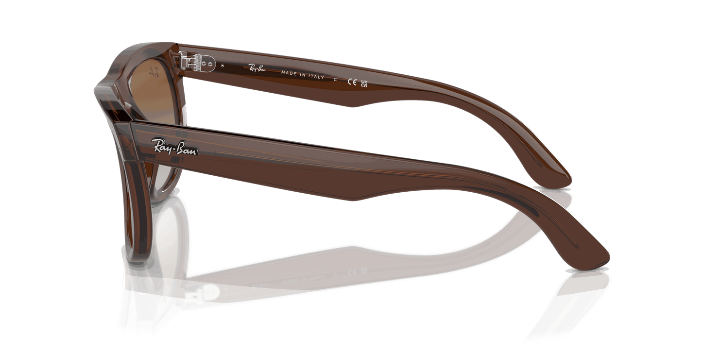 [Brown Lenses, Polished Transparent Brown Frame]