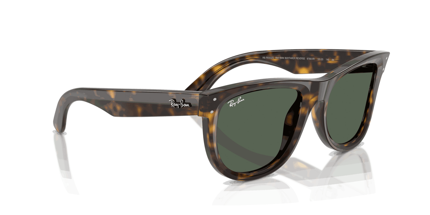 [Dark Green Lenses, Polished Dark Havana Frame]