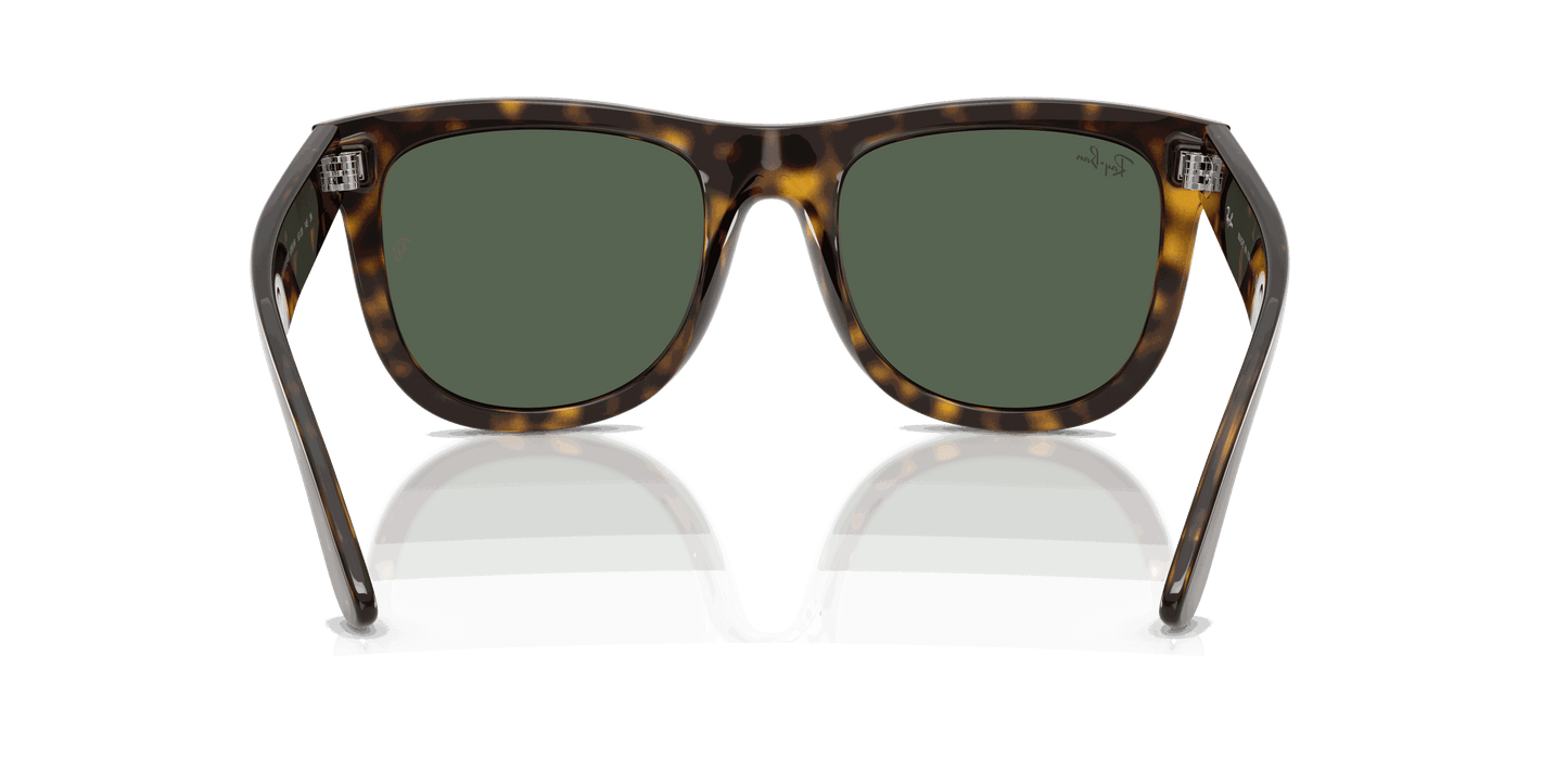 [Dark Green Lenses, Polished Dark Havana Frame]