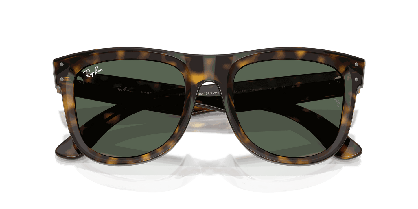 [Dark Green Lenses, Polished Dark Havana Frame]