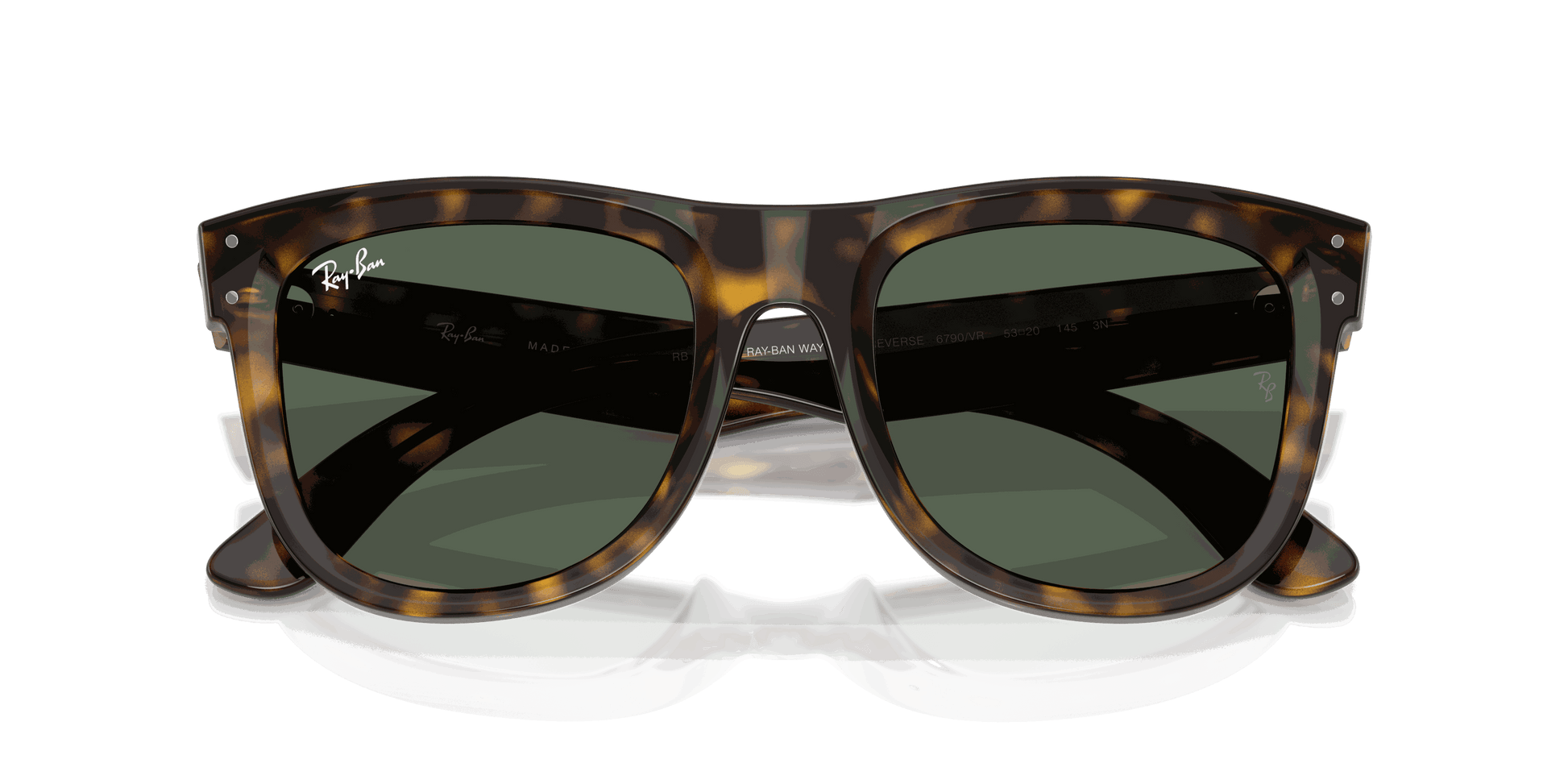 [Dark Green Lenses, Polished Dark Havana Frame]