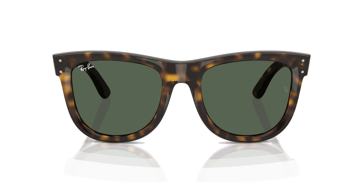[Dark Green Lenses, Polished Dark Havana Frame]