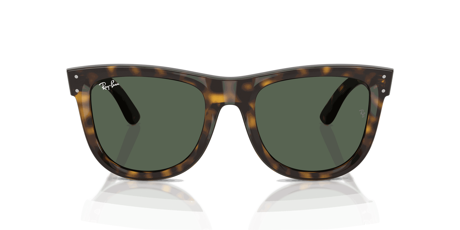 [Dark Green Lenses, Polished Dark Havana Frame]