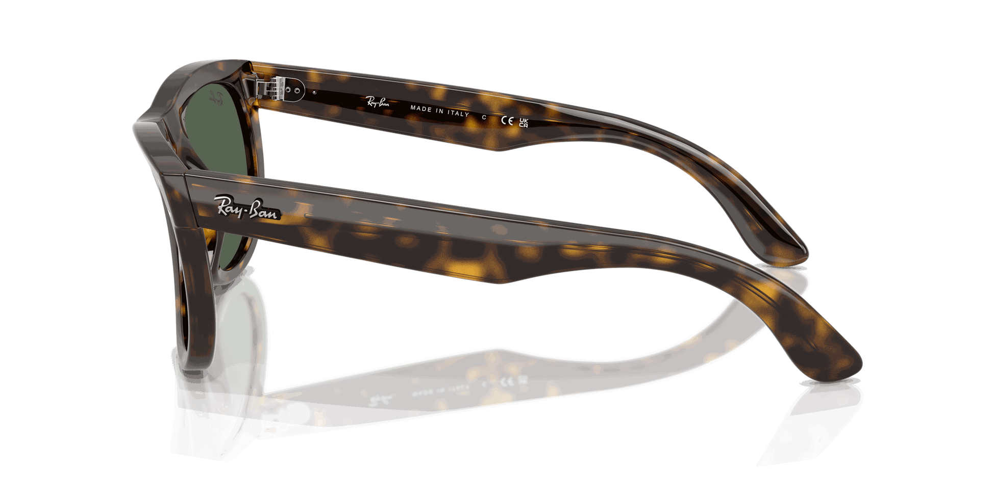 [Dark Green Lenses, Polished Dark Havana Frame]