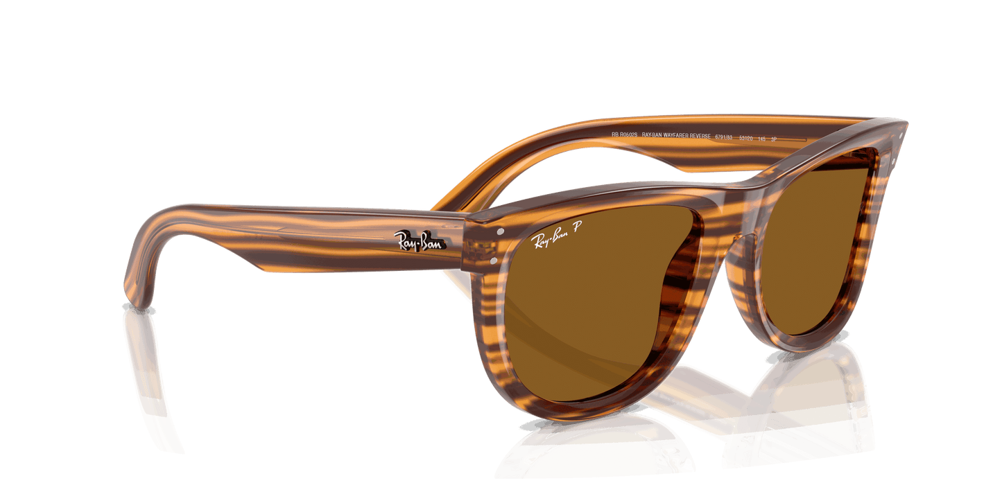 [Polar Dark Brown Lenses, Polished Striped Havana Frame]