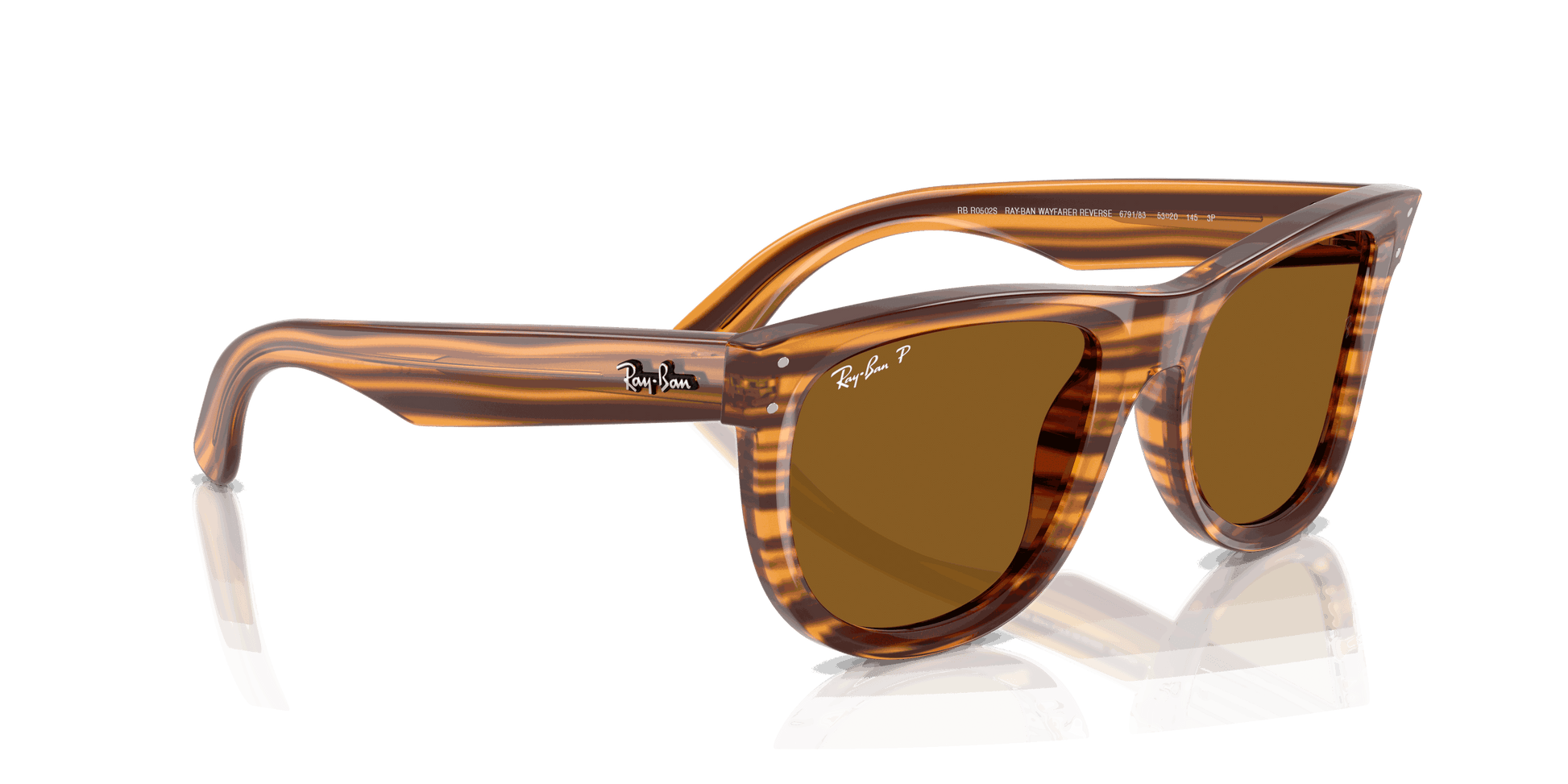 [Polar Dark Brown Lenses, Polished Striped Havana Frame]